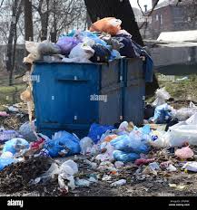 Best Dumpster Rental Services  in Bath, MI