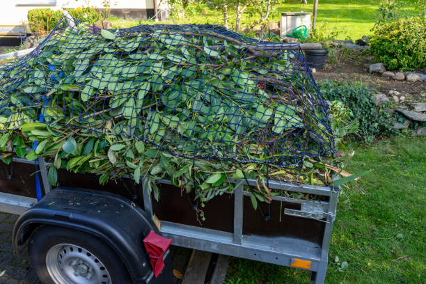 Best Furniture Removal  in Bath, MI